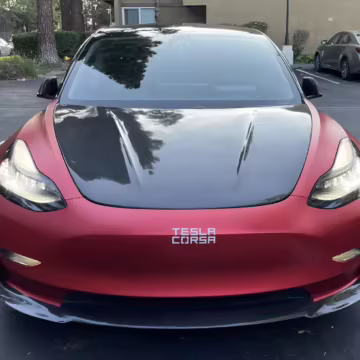 2019 Tesla Model 3 Performance — photo 8