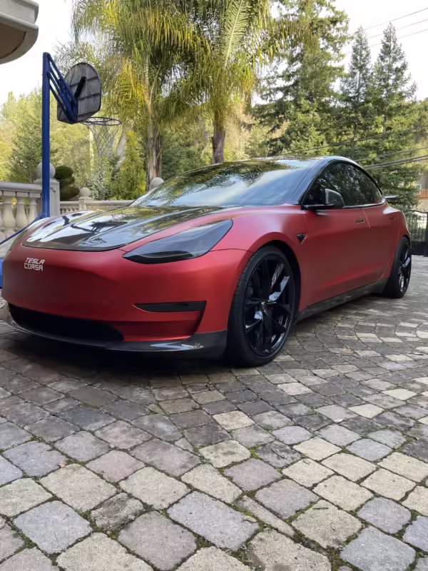 2019 Tesla Model 3 Performance — photo 16