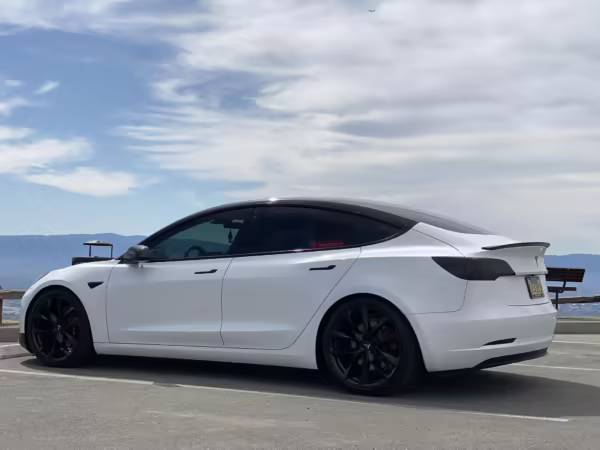 2019 Tesla Model 3 Performance — photo 26