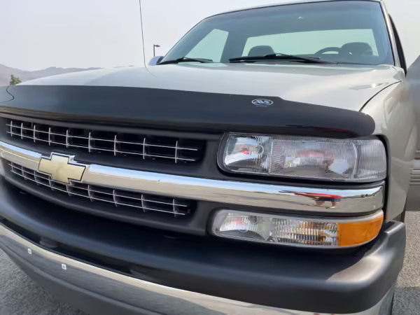 2001 Chevrolet Silverado LS 1500 — photo 15