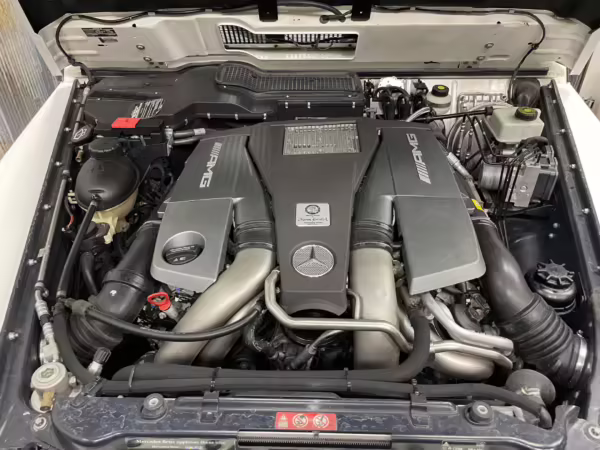 2018 Mercedes-AMG G63 — photo 41