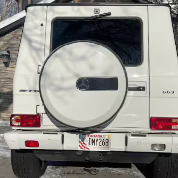 2018 Mercedes-AMG G63 — photo 10